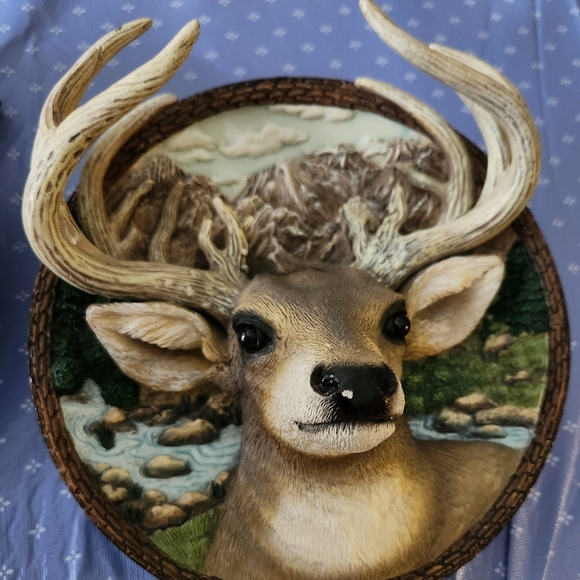 Bradford Exchange Faces of the Wild Collector Plates - Picture 3 of 9